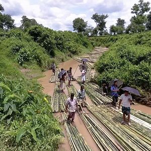 Bilder Bamboo Stories