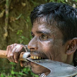 Bilder Bamboo Stories