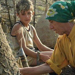 Bilder Land des Honigs