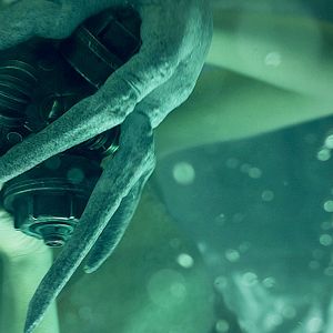 Bilder Die Höhle - Das Tor in eine andere Zeit