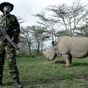 Bilder Die Epoche des Menschen