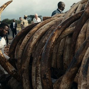 Bilder Die Epoche des Menschen