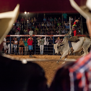 Bilder Querência - Heimkehren