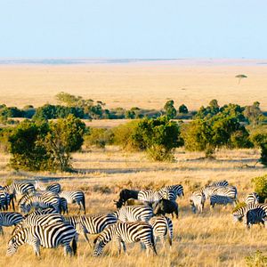 Bilder Şahan Gökbakar