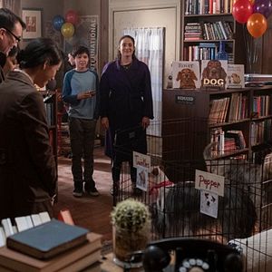 Bilder Vier Freunde und die Geisterhand