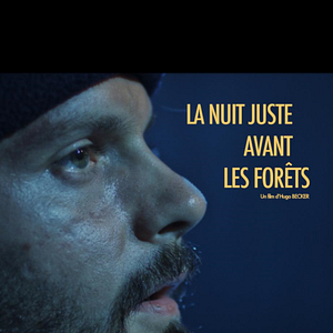 Bilder La nuit juste avant les forêts