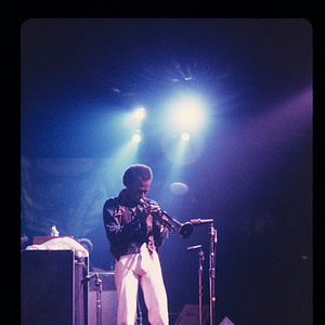 Bilder Miles Davis