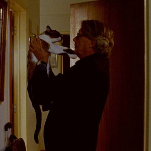 Bilder Miguel Lobo Antunes