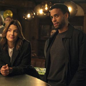 Bilder Cobie Smulders