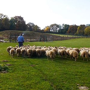 Bilder Le Cauchemar De Philippe Layat