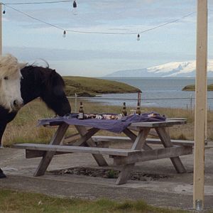 Bilder Weißer weißer Tag