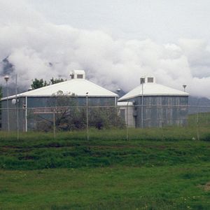 Bilder Weißer weißer Tag