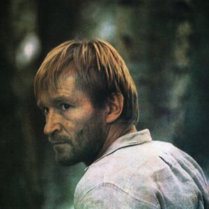 Bilder Splitter unterm Nagel