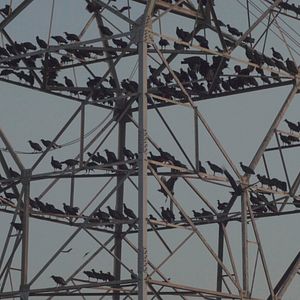 Bilder Terminal Praia Grande