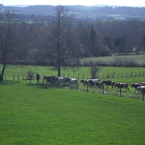 Bilder Cyrille, agriculteur, 30 ans, 20 vaches, du lait, du beurre, des dettes
