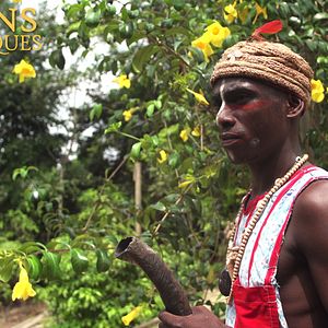 Bilder Visions Chamaniques : territoires oubliés