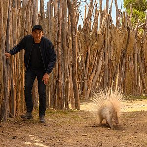 Bilder Rendez-vous Chez Les Malawas