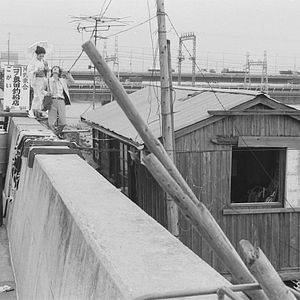 Bilder Black Rose Ascension