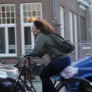 Bilder Finding Farideh