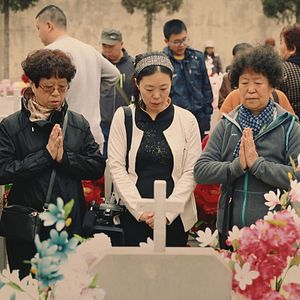 Bilder Plötzlich Heimweh