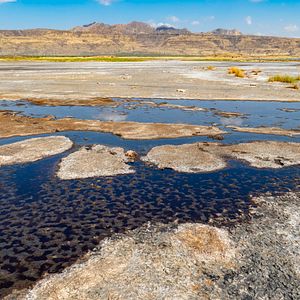 Bilder Mein Vater, mein Sohn und der Kilimandscharo