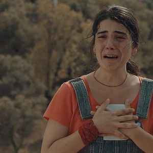 Bilder Kader Postası