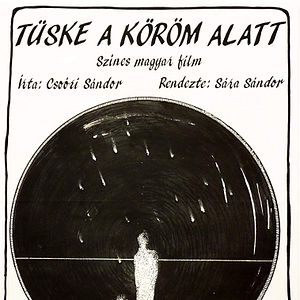 Bilder Splitter unterm Nagel