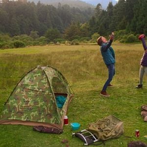 Bilder Blumige Aussichten