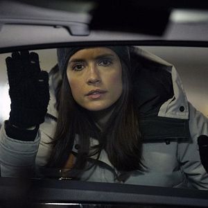 Bilder Torrey DeVitto