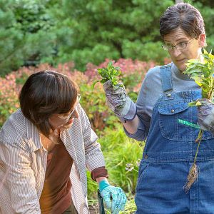 Bilder Laura T. Fisher