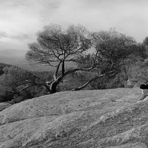 Bilder Les Mélancolies de Sade