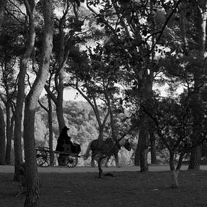 Bilder Les Mélancolies de Sade