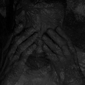 Bilder Didier Sauvegrain