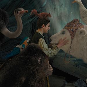 Bilder Harry Collett