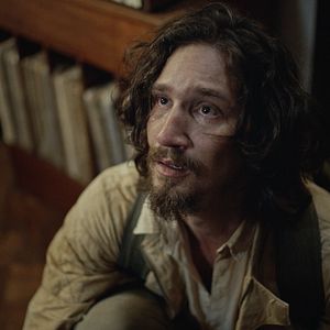 Bilder Um Animal Amarelo