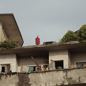 Bilder Um Animal Amarelo