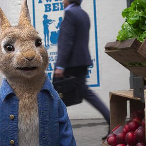 Bilder Peter Hase 2 - Ein Hase macht sich vom Acker