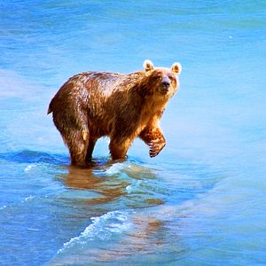 Bilder Russland von oben