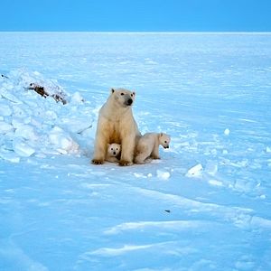 Bilder Russland von oben