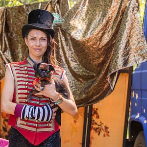 Bilder Lassie - Eine abenteuerliche Reise