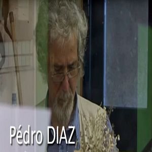 Bilder Pédro Diaz Star-Terre