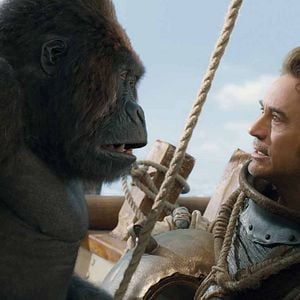 Bilder Robert Downey Jr.