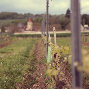 Bilder Un Pas Vers Vous Dans L'Allier