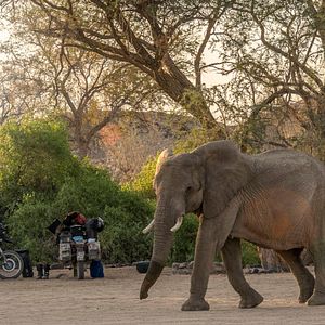 Bilder Somewhere Else Together