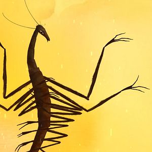 Bilder Der Schlangenprinz