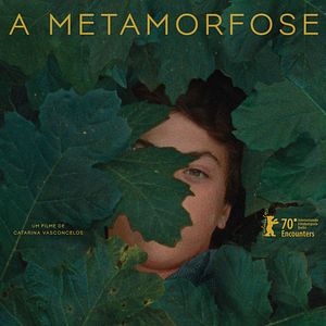 Bilder A Metamorfose dos Pássaros