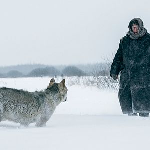 Bilder Red Secrets - Im Fadenkreuz Stalins