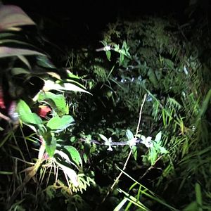 Bilder A Storm Was Coming