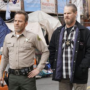 Bilder Brian Van Holt