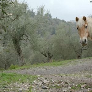 Bilder Die Liebe frisst das Leben